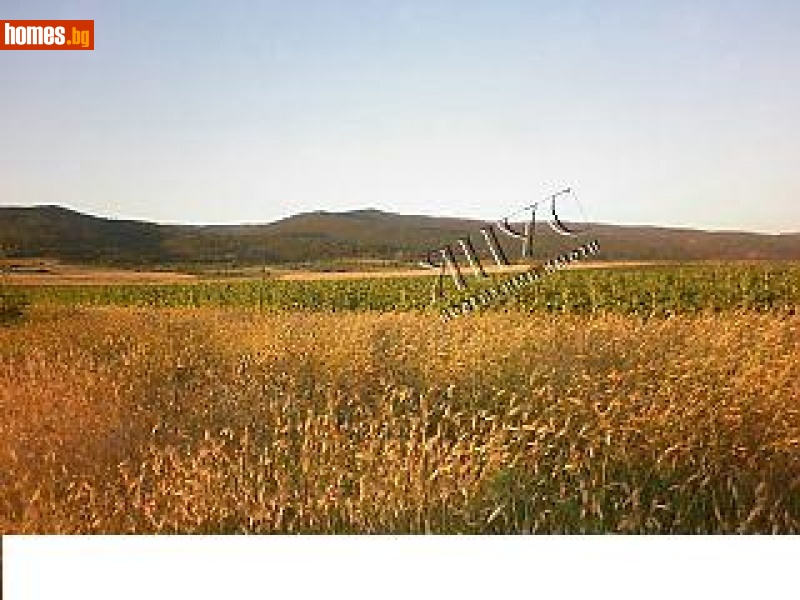 Парцел, 5917m² - С.Гюльовца, Несебър - Парцел за продажба - ЯНУС ЕООД - 139622