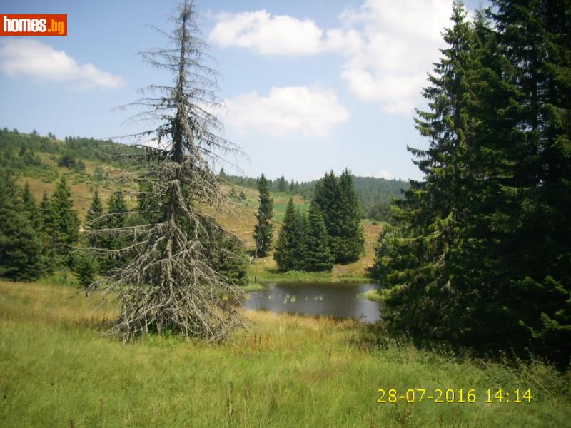 Парцел, 600m² - К.к.Пампорово, Смолян - Парцел за продажба - Съби Манев - 5937700