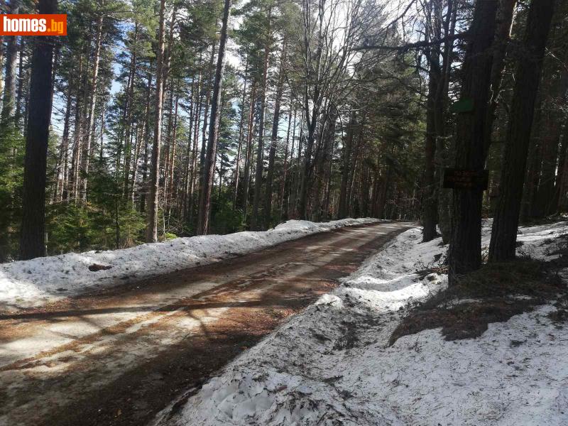 Парцел, 5600m² - С.Добралък, Куклен - Парцел за продажба - Костадинов имоти ЕООД - 49626995