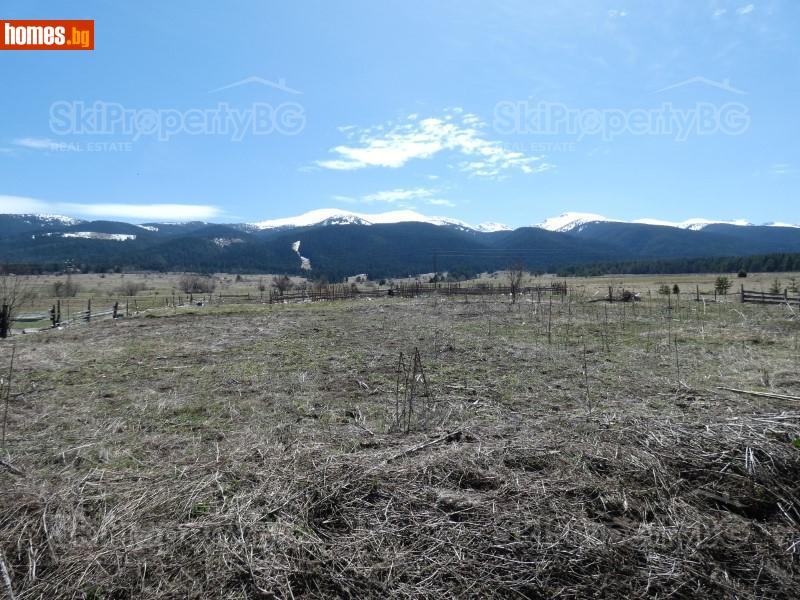 Парцел, 4842m² - С.Говедарци, Самоков - Парцел за продажба - SkiPropertyBG - 52422380