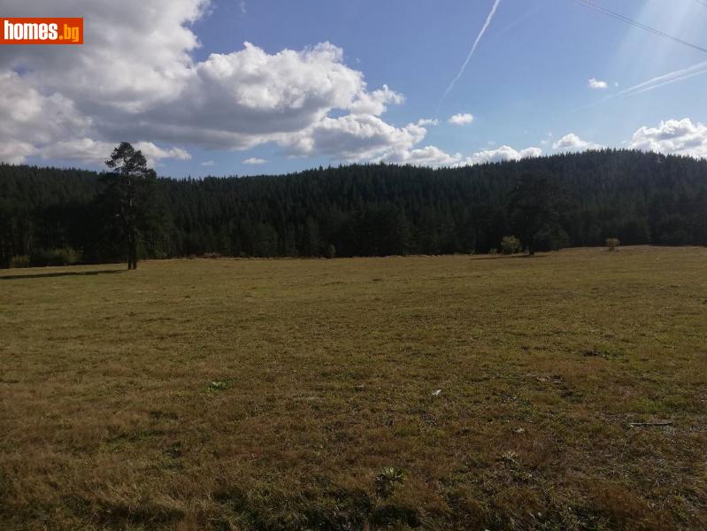 Парцел, 19000m² - Гр.Велинград, Велинград - Парцел за продажба - Костадинов имоти ЕООД - 71663909