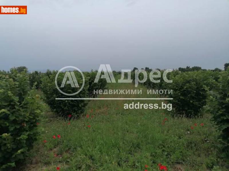 Земеделска земя, 6000m² -  Промишлена Зона , Ямбол - Земя за продажба - АДРЕС НЕДВИЖИМИ ИМОТИ - 85807379