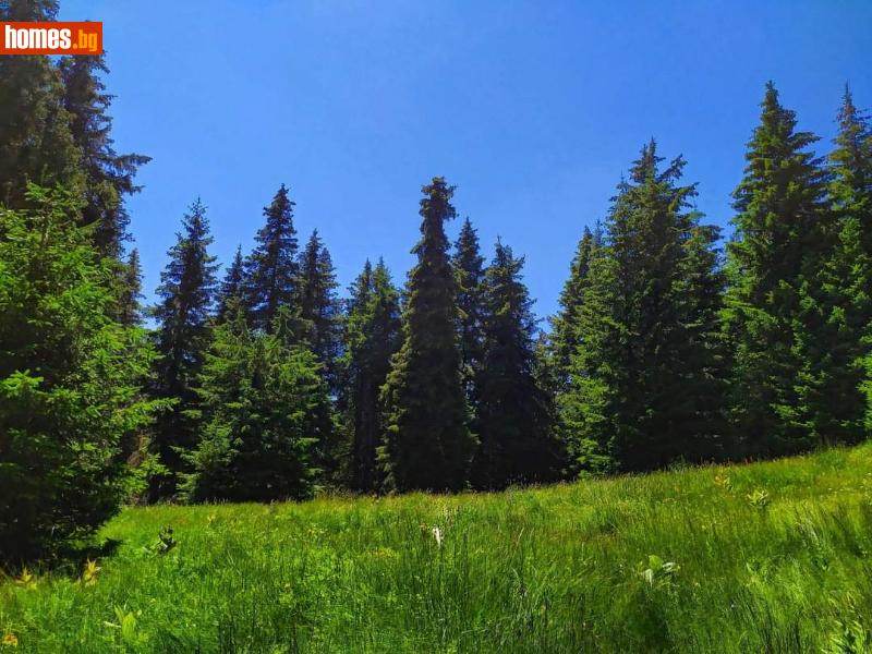 Парцел, 825m² - С.Лилково, Родопи - Парцел за продажба - Тт - 86601238