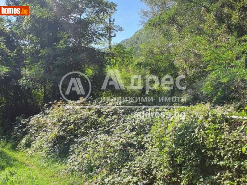 Парцел, 1000m² - С.Рибарица, Ловеч - Парцел за продажба - АДРЕС НЕДВИЖИМИ ИМОТИ - 90317717