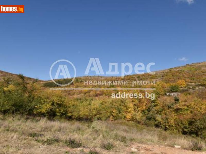 Парцел, 11000m² - Кв. Лозенец, Стара Загора - Парцел за продажба - АДРЕС НЕДВИЖИМИ ИМОТИ - 90948287