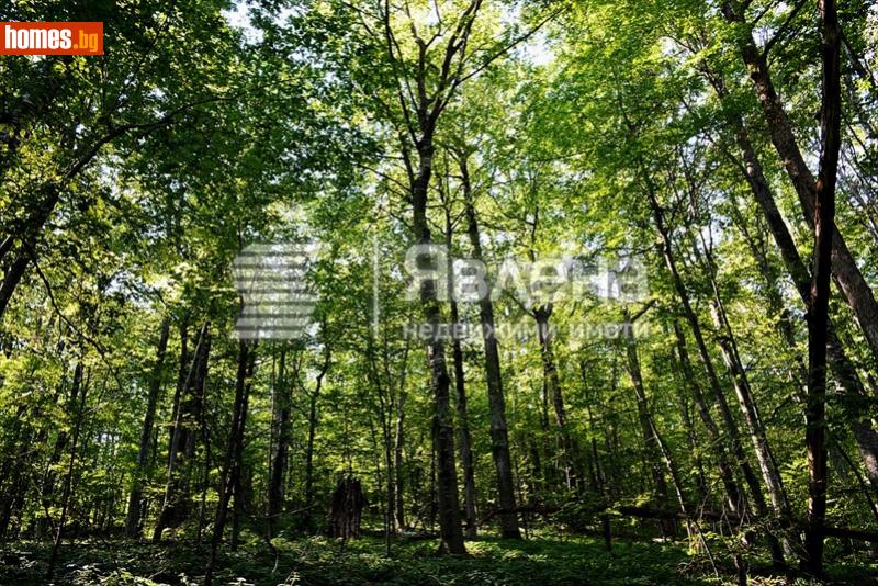 Земеделска земя, 1350m² - Гр.Созопол, Бургас - Земя за продажба - ЯВЛЕНА - 93466806