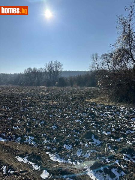 Парцел, 3847m² - Кв. Филиповци, София - Парцел за продажба - Костадинов имоти ЕООД - 95072944