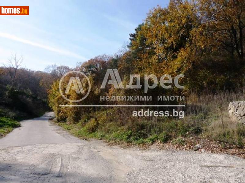 Парцел, 5000m² - К.к.Златни Пясъци, Варна - Парцел за продажба - АДРЕС НЕДВИЖИМИ ИМОТИ - 98101984