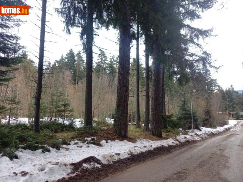Парцел, 3497m² - К.к.Боровец, Самоков - Парцел за продажба - Rilaimoti - 107654102
