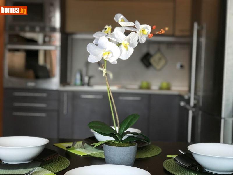 Тристаен, 120m² - Кв. Кършияка, Пловдив - Апартамент под наем - ТУИНС - 107755638