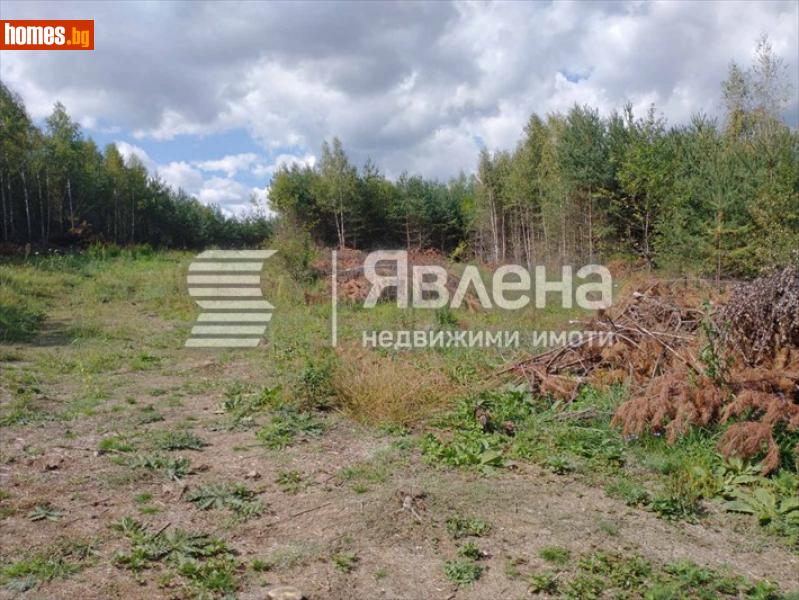 Парцел, 2650m² - , София - град - Парцел за продажба - ЯВЛЕНА - 109227373