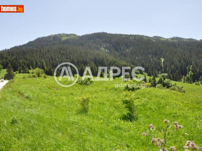 Земеделска земя, 3982m² - С.Стойките, Смолян - Земя за продажба - АДРЕС НЕДВИЖИМИ ИМОТИ - 110014619