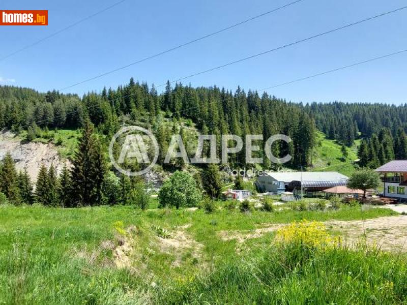 Парцел, 14855m² - С.Стойките, Смолян - Парцел за продажба - АДРЕС НЕДВИЖИМИ ИМОТИ - 110014623