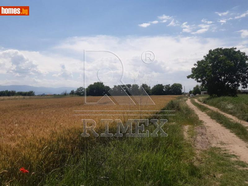 Земеделска земя, 6999m² - С.Войводиново, Пловдив - Земя за продажба - Римекс Имоти - 110317699