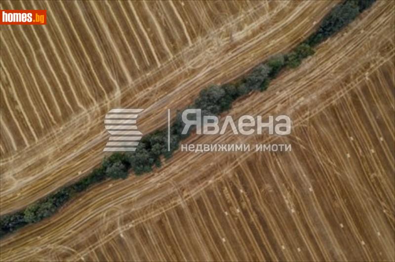 Земеделска земя, 2456m² - С.Кошарица, Бургас - Земя за продажба - ЯВЛЕНА - 111263963