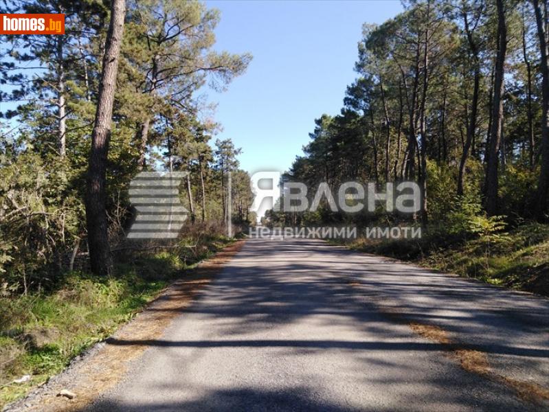 Земеделска земя, 4861m² - Гр.Царево, Бургас - Земя за продажба - ЯВЛЕНА - 111977462
