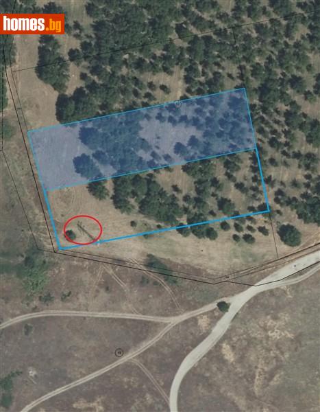 Земеделска земя, 10000m² - Гр.Стамболийски, Стамболийски - Земя за продажба - КОНТИНЕНТАЛ - 114107555
