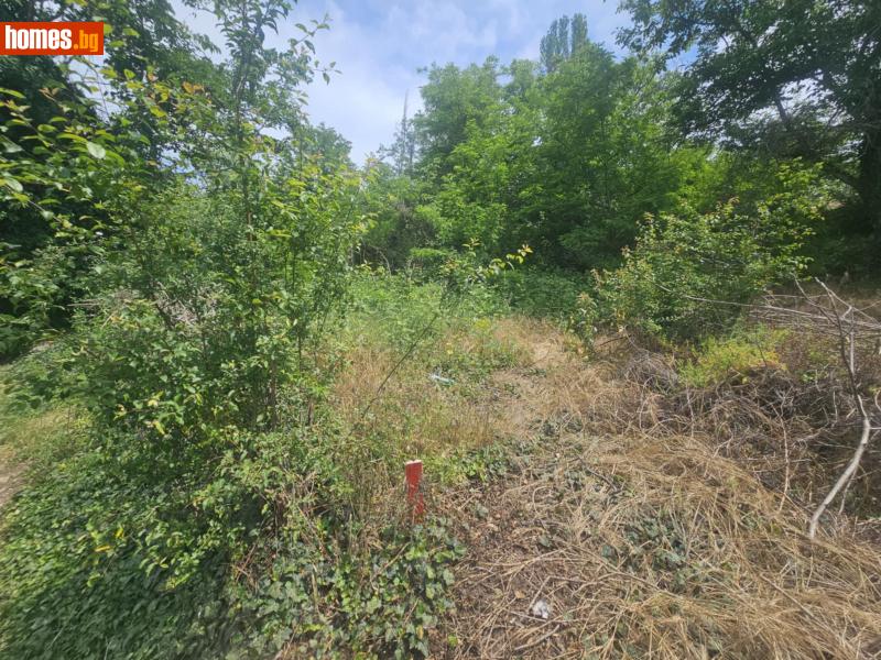 Парцел, 548m² -  Прилепци, Кърджали - Парцел за продажба - ТБС БГпропъртис - 114303929