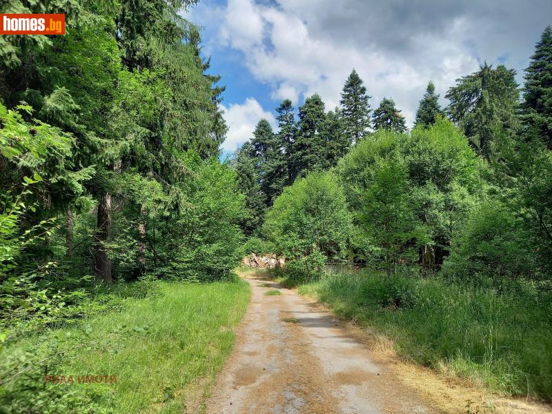 Парцел, 3000m² - К.к.Боровец, Самоков - Парцел за продажба - Rilaimoti - 114763144