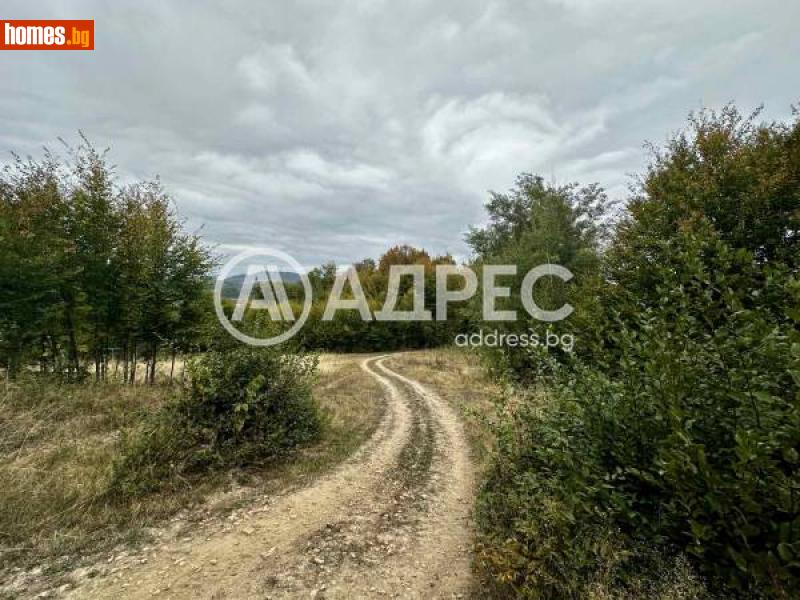 Земеделска земя, 27135m² - Гр.Троян, Ловеч - Земя за продажба - АДРЕС НЕДВИЖИМИ ИМОТИ - 115958678