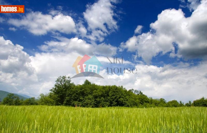 Парцел, 485m² - Жк. Възраждане, Варна - Парцел за продажба - НИКИ ХАУС ООД - 116547966