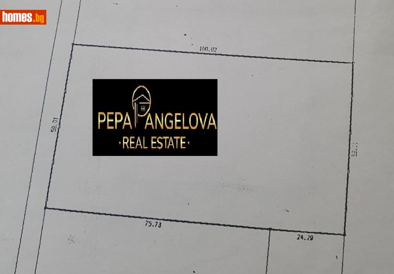 Земеделска земя, 5900m² - С.Белащица, Пловдив - Земя за продажба - PEPA  ANGELOVA   REAL ESTATE - 116732390