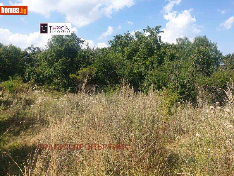 Парцел, 14300m² -  Плана, София - Парцел за продажба - Тракия Пропъртийс - 117159741