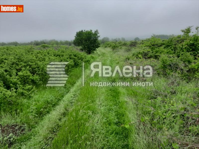 Земеделска земя, 6407m² - С.Белащица, Пловдив - Земя за продажба - ЯВЛЕНА - 117496499