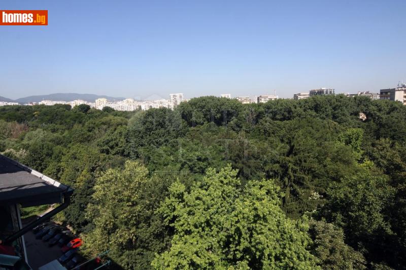 Четиристаен, 215m² - Жк. Лозенец, София - Апартамент за продажба - Фърст Естейтс  - 117676186