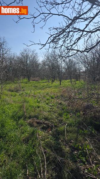 Парцел, 1240m² - С.Момино Село, Раковски - Парцел за продажба - ЛИДЕР А - 118139958