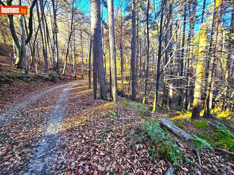 Земеделска земя, 1757m² - С.Бойково, Пловдив - Земя за продажба - Ринг Естейт - 118345910