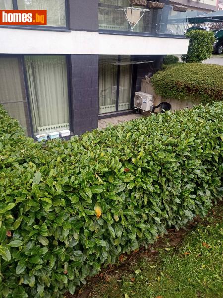 Двустаен, 60m² -  Драгалевци, София - Апартамент под наем - Риълнет Офис Класик - 118639327