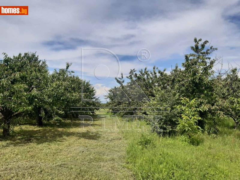 Парцел, 3000m² - С.Брестник, Пловдив - Парцел за продажба - Римекс Имоти - 119117420