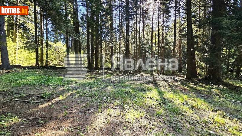 Парцел, 3427m² - К.к.Боровец, Софийска - Парцел за продажба - ЯВЛЕНА - 119233709