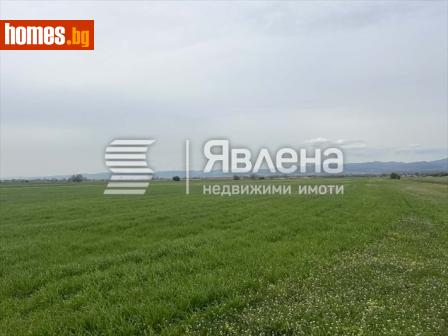 Земеделска земя, 5999m² - Земя за продажба - 119441340