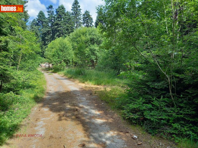 Къща, 300m² - К.к.Боровец, Самоков - Къща за продажба - Rilaimoti - 119655729