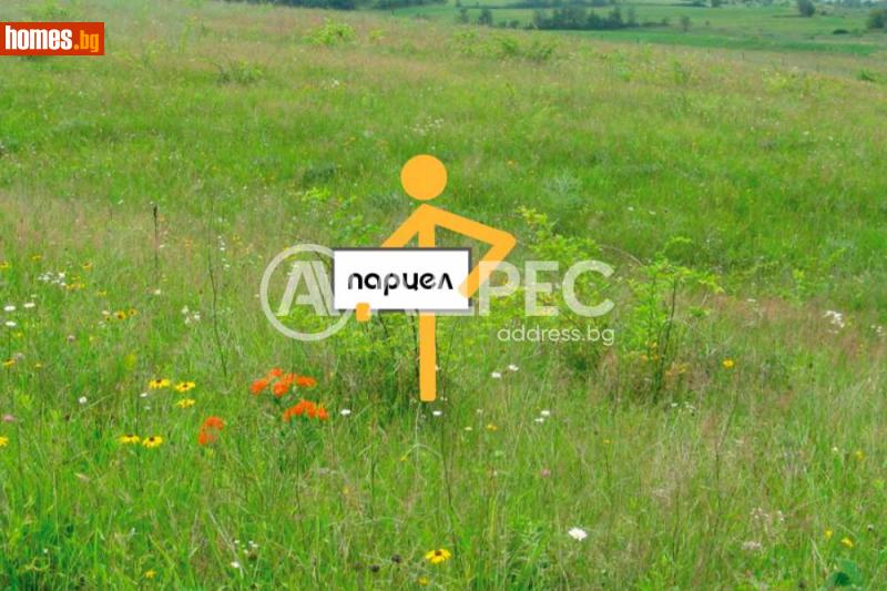 Земеделска земя, 3600m² - С.Близнаци, Варна - Земя за продажба - АДРЕС НЕДВИЖИМИ ИМОТИ - 120449979