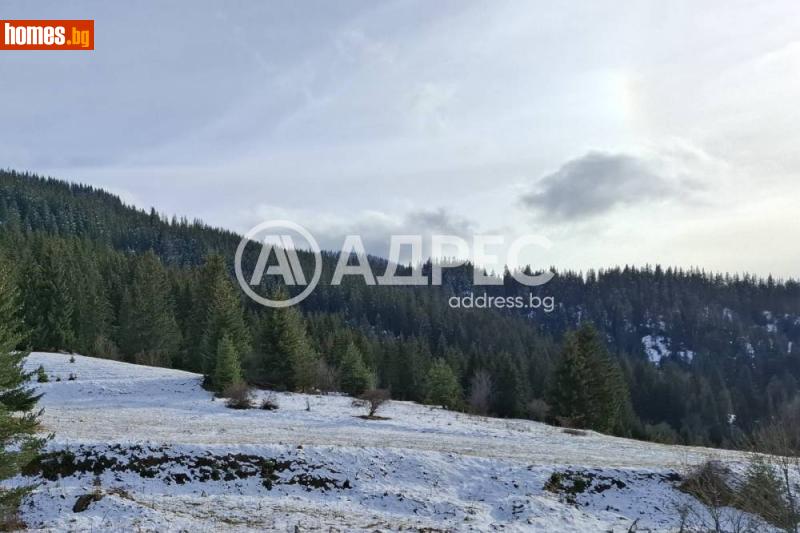 Парцел, 1250m² - С.Стойките, Смолян - Парцел за продажба - АДРЕС НЕДВИЖИМИ ИМОТИ - 120450929