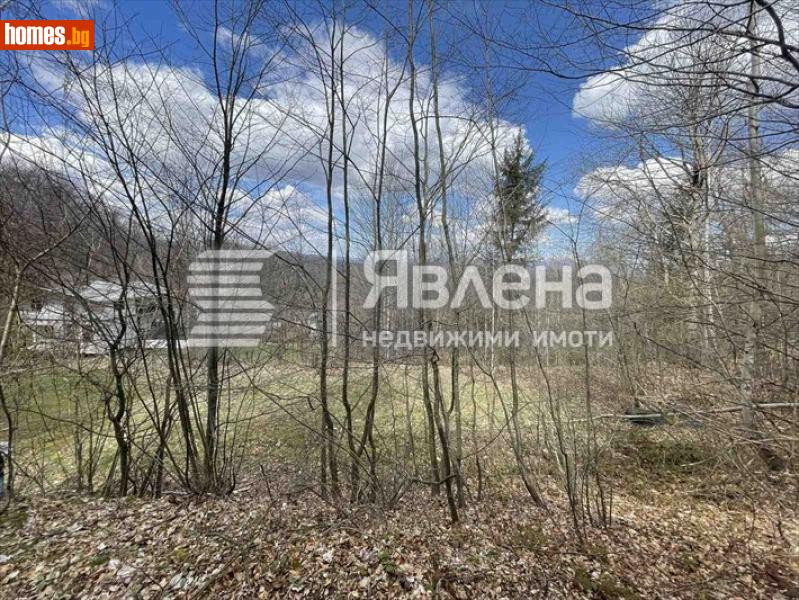 Парцел, 924m² - Гр.Долна Баня, Софийска - Парцел за продажба - ЯВЛЕНА - 120878967