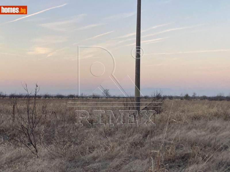 Земеделска земя, 7013m² - Гр.Асеновград, Пловдив - Земя за продажба - Римекс Имоти - 121022708