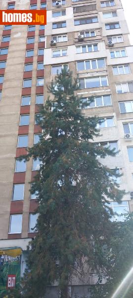 Едностаен, 50m² - Жк. Люлин 3, София - Апартамент под наем - СПРИНГ 2 - 121452515